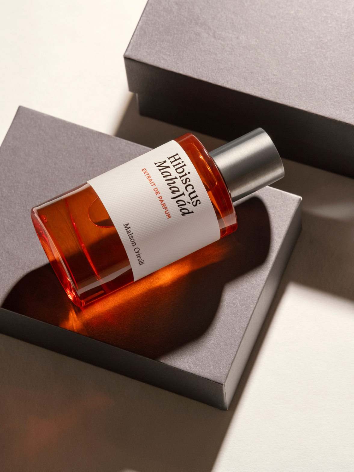 Olfactory Shocks