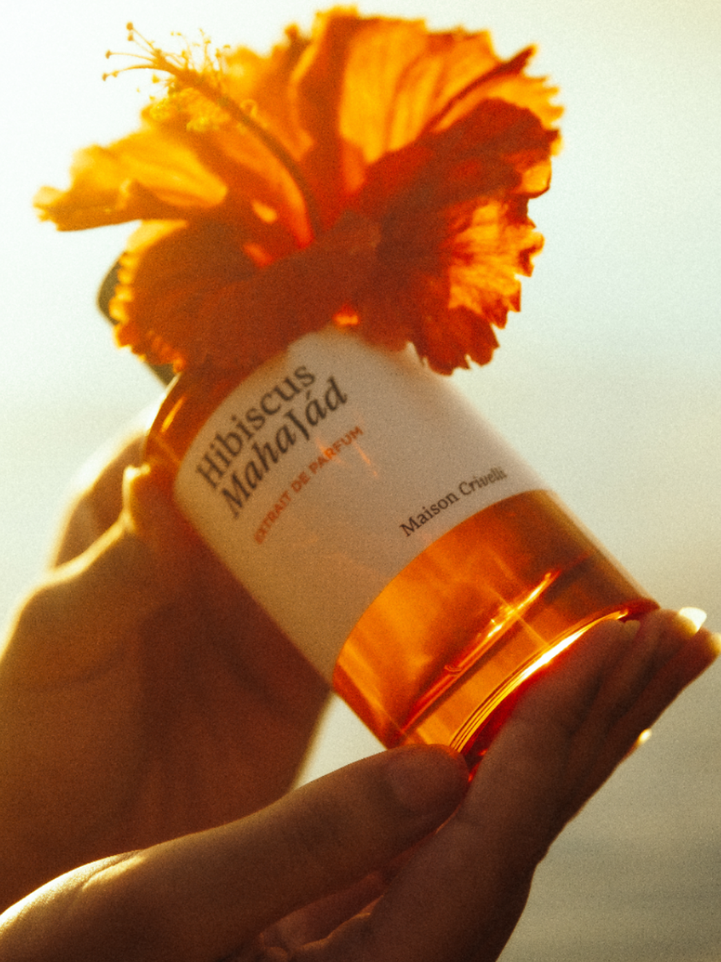 Tubéreuse Astrale extrait de parfum | Maison Crivelli
