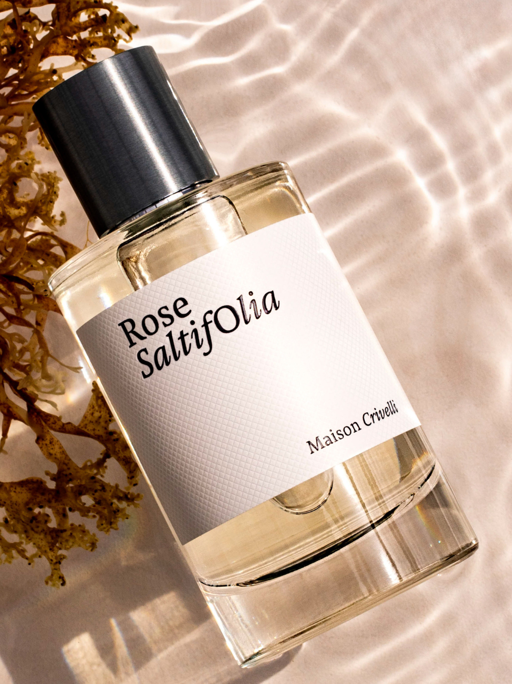 Rose Saltifolia eau de parfum | Maison Crivelli