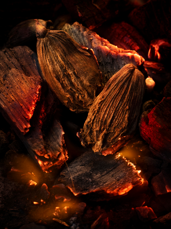 Santal Volcanique thumbnail 2