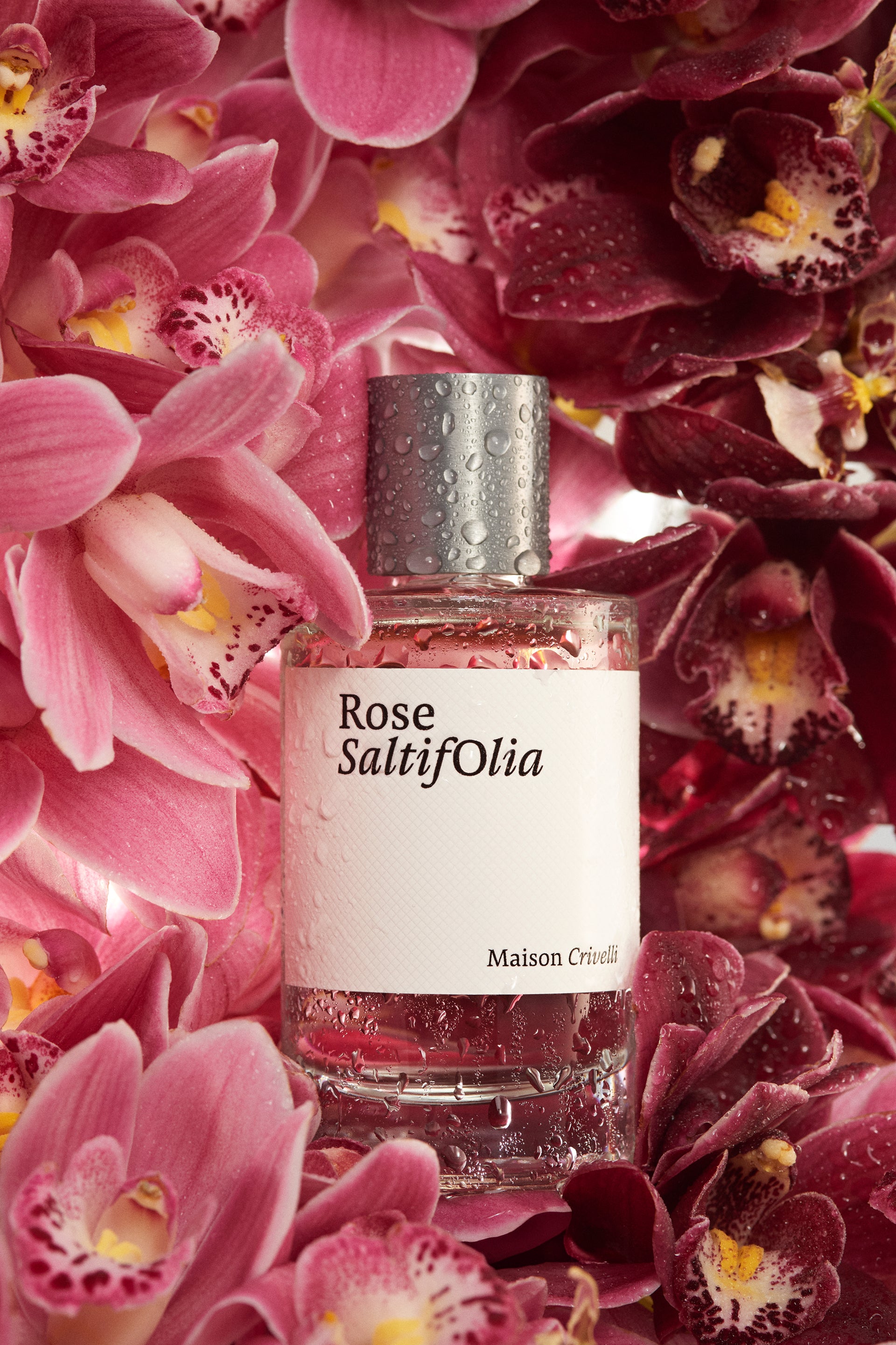Olfactory Experiences – Maison Crivelli